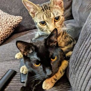 Meet your Posher, Brendan